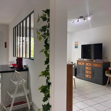 Appartement Avec Terrasse Et Piscine, Proche Plage D'Erromardie, Saint Jean De Luz - Fr-1-239-932 Extérieur photo
